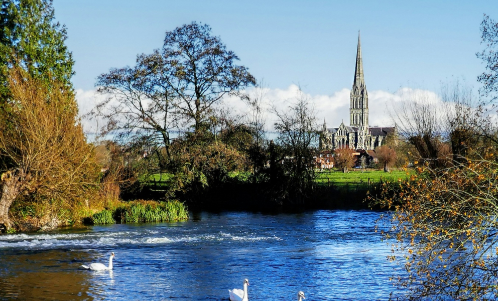 salisbury 